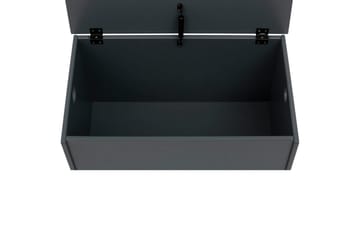 Lekekasse/Kiste Alpi 70x40x40 cm, Grå - 70x40x40 cm, Grå - Møbler - Barnemøbler - Oppbevaring barnerom - Lekekasse - Lekekasse