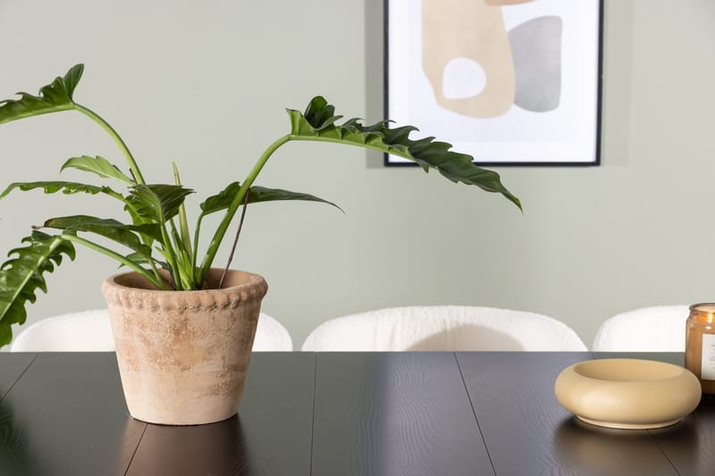 Astrid Spisebord 90 cm med 6 Edina Spisestoler - Møbler - Bord - Spisegruppe