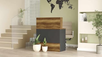 Resepsjonsbord Skye Decor Bren (90 x 110 x 44,5 cm) Baroq Antrasitt - Baroq og antrasitt - Møbler - Bord - Avlastningsbord & sidobord - Konsollbord & gangbord