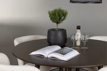 Kaseidon Spisegruppe 100 cm Rund med 4 Edina Stoler - Mørk brun - Møbler - Bord - Spisegruppe