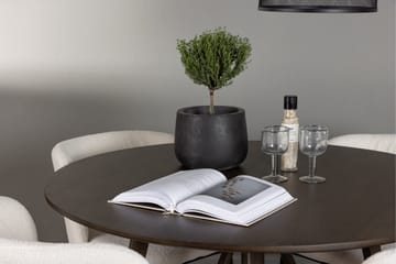 Kaseidon Spisegruppe 100 cm Rund med 4 Edina Stoler - Mørk brun - Møbler - Bord - Spisegruppe