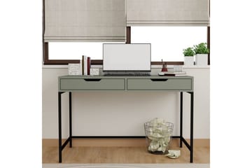 Loryn Skrivebord 55x120 cm - Grønn - Møbler - Bord - Kontorbord - Skrivebord