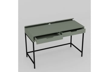 Loryn Skrivebord 55x120 cm - Grønn - Møbler - Bord - Kontorbord - Skrivebord