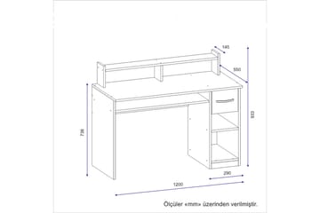 Skrivebord Eslemez 120 cm med Oppbevaringsskuff + Hyller - Antrasitt - Møbler - Bord - Kontorbord - Skrivebord