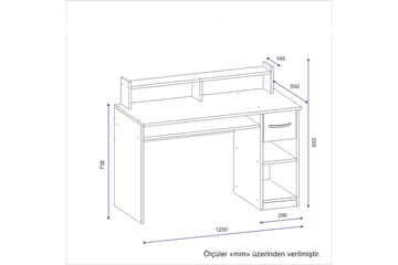 Yemisen Skrivebord 120 cm med Oppbevaringsskuff + Hyller - Antrasitt - Møbler - Bord - Kontorbord - Skrivebord