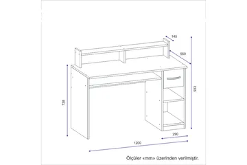 Yemisen Skrivebord 120 cm med Oppbevaringsskuff + Hyller - Antrasitt - Møbler - Bord - Kontorbord - Skrivebord