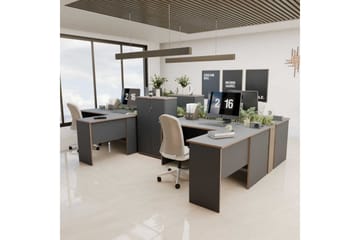 Studie skrivebord Quelanwich Antrasitt / Eik - Antrasitt / Eik - Møbler - Bord - Kontorbord - Skrivebord