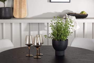 Olivia spisebord 110 cm rundt med 4 Night spisestoler - Møbler - Bord - Spisegruppe