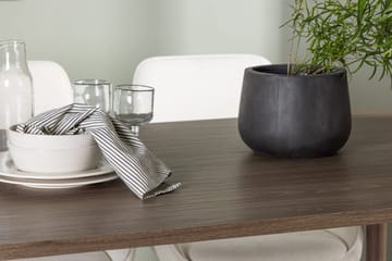 Oval matgrupp Venture Home Beige Natur 4st - Møbler - Bord - Spisegruppe