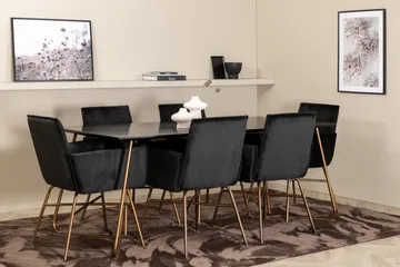 Petra Spisegruppe 190 cm Rektangulær med 6 Petra Stoler - Sort - Møbler - Bord - Spisegruppe