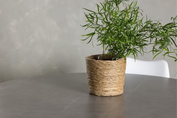 Piazza Spisegruppe 120 cm Rund med 4 Zeno Stoler - Grå - Møbler - Bord - Spisegruppe