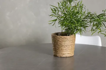 Piazza Spisegruppe 120 cm Rund med 4 Zeno Stoler - Grå - Møbler - Bord - Spisegruppe