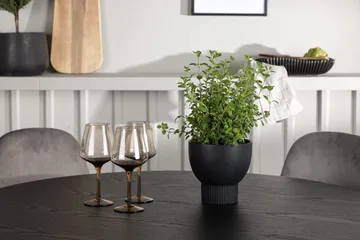 Rund matgrupp Venture Home Ljusgrå Svart 4st - Lysegrå og svart - Møbler - Bord - Spisegruppe