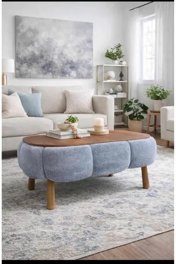 Coffee Table Homitis
