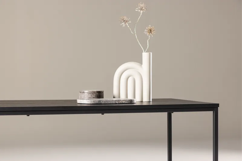 Mallan Rektangulært Sofabord 120x60 cm i Malt Tre - Svart - Møbler - Bord - Sofabord & salongbord