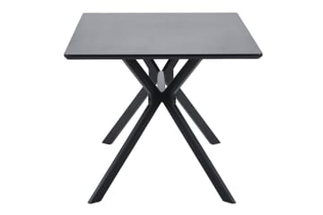 Tero Rektangulært Spisebord 160 cm i Metall og Tre med Mørkt Treutseende - Svart - Møbler - Bord - Spisebord & kjøkkenbord