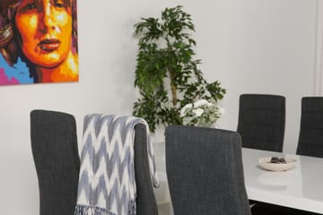 Cibus Spisegruppe med 6 Cibus Stoler - Møbler - Bord - Spisegruppe