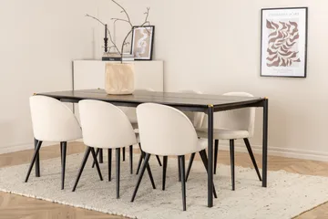 Pelle spisebord med 6 Fløyel Spisestol - Møbler - Bord - Spisegruppe