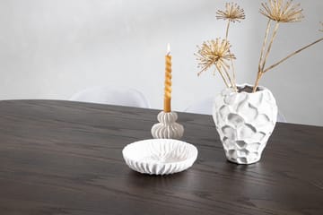 Stone ovalt spisebord 220x100x74 cm med 6 Velvet kjøkkenstoler i fløyel - Møbler - Bord - Spisegruppe