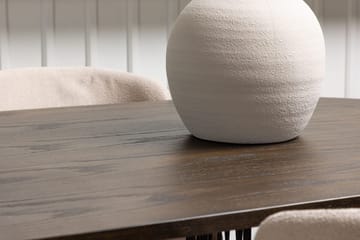 Stone Spisebord 220x100x74 cm Ovalt med 4 Modesto Spisestoler - Møbler - Bord - Spisegruppe