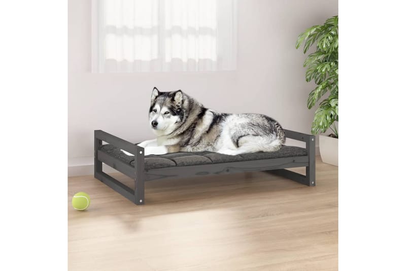 beBasic Hundeseng grå 105,5x75,5x28 cm heltre furu - GrÃ¥ - Hundekurv & hundeseng