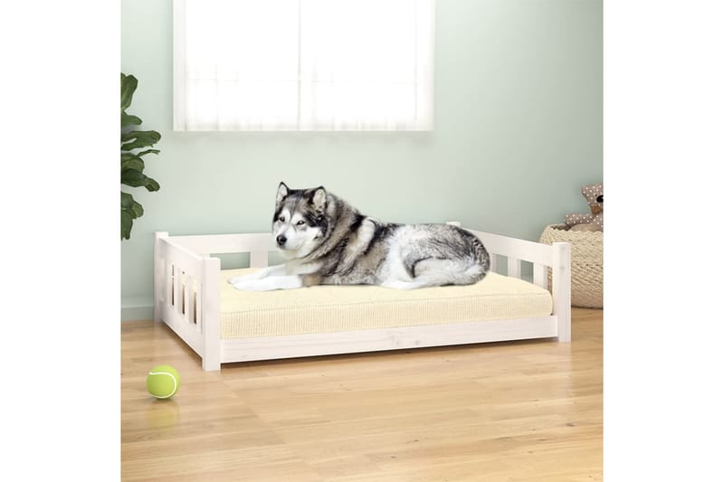 beBasic Hundeseng hvit 105,5x75,5x28 cm heltre furu - Hvit - Hundekurv & hundeseng