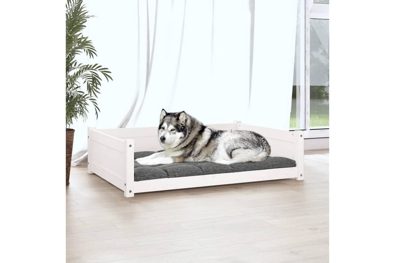 beBasic Hundeseng hvit 105,5x75,5x28 cm heltre furu - Hvit - Hundekurv & hundeseng