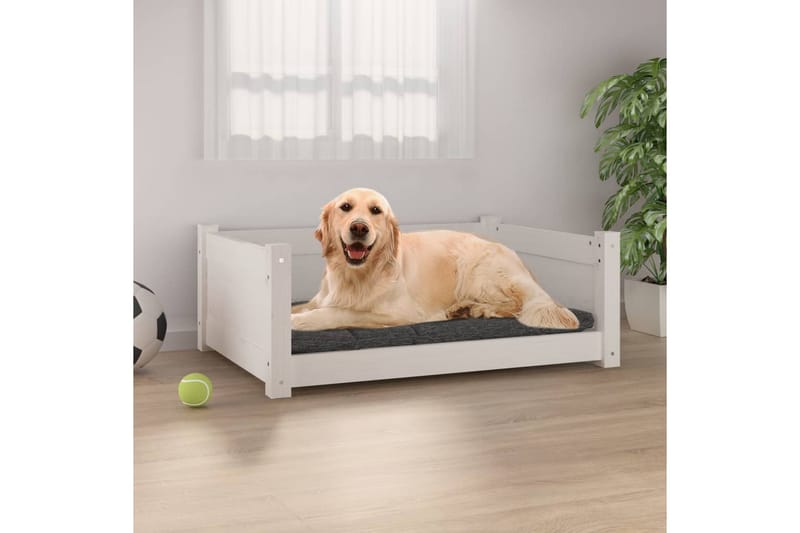 beBasic Hundeseng hvit 75,5x55,5x28 cm heltre furu - Hvit - Hundekurv & hundeseng