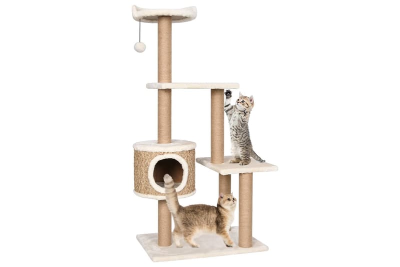 Kattetre med klorestolpe 123 cm sjøgress - Beige - Klorestativ & kloremøbler