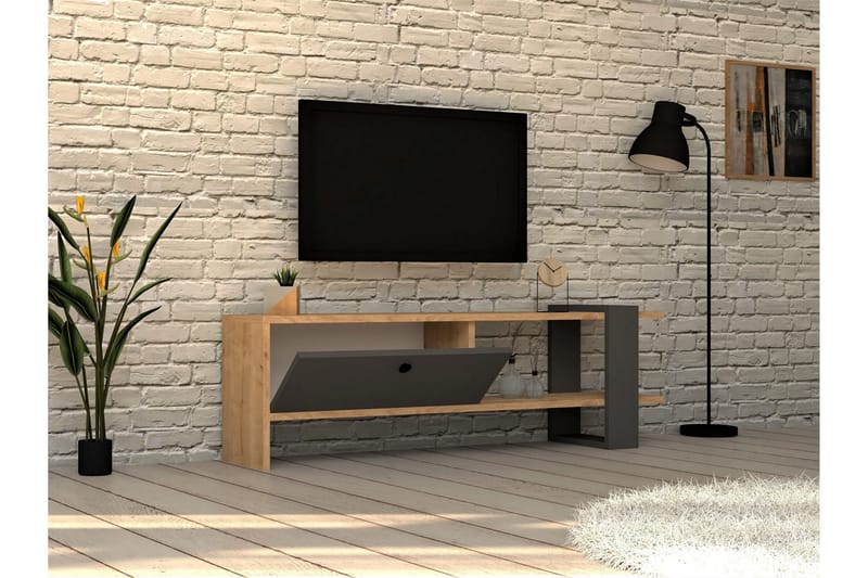 Rinorea Tv-benk 120x36,8 cm - Antrasitt - Møbler - TV- & Mediamøbler - TV benk & mediabenk