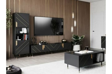 Juniskär TV-benk 204 cm - Svart - Møbler - TV- & Mediamøbler - TV-skap