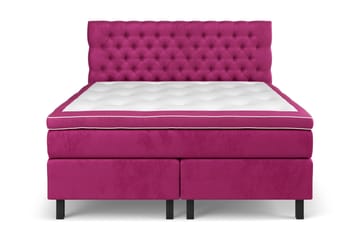 Fast/Medium - Rosa