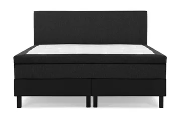 Uten hodegavl - Svart/Grå/PU