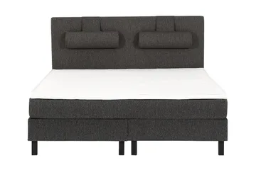 Uten hodegavl - Svart/Grå