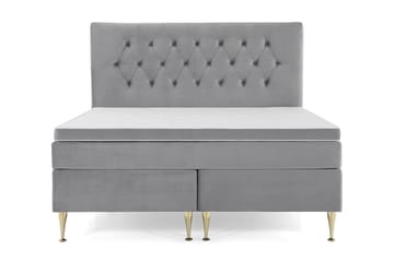 Høye Gullben - Lysegrå