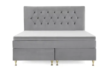 Lave Gullben - Lysegrå