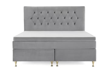 Lave Gullben - Lysegrå