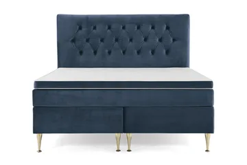 Høye Gullben - Blå