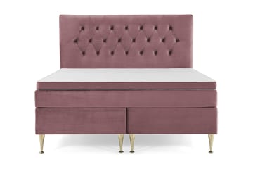 Høye Gullben - Lyserød