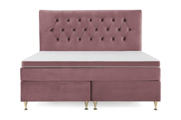 Lave Gullben - Lyserød