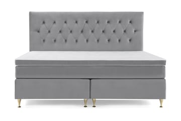 Lave Gullben - Lysegrå