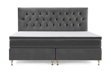 Lave Gullben - Mørkegrå