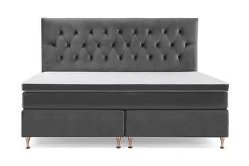 Lave Rosében - Mørkegrå