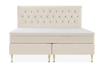 Høye Gullben - Beige