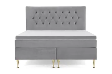 Høye Gullben - Lysegrå