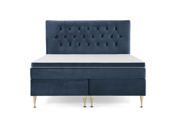 Høye Gullben - Blå