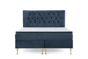 Høye Gullben - Blå