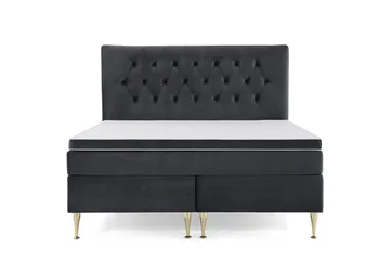 Høye Gullben - Svart