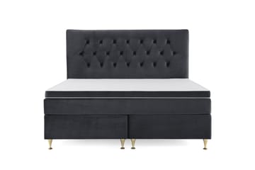 Lave Gullben - Svart