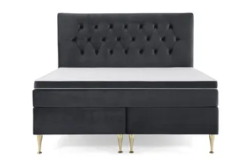 Høye Gullben - Svart